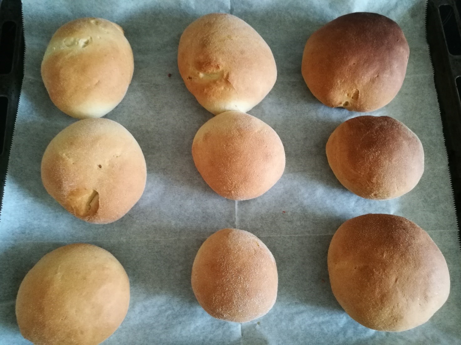 Durum boller med honning