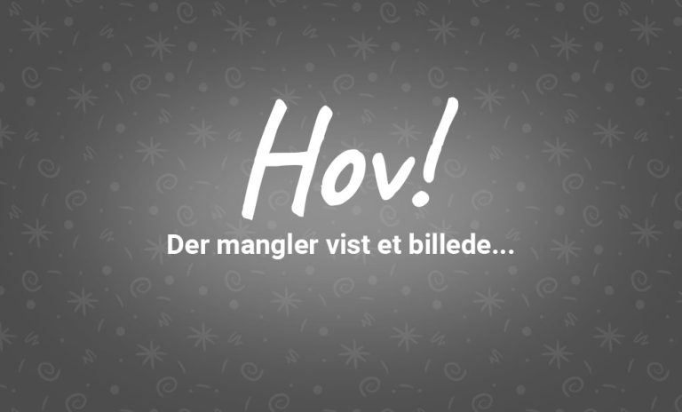 Pizza med forskelligt fyld